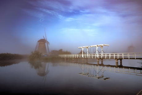 Kinderdijk 06