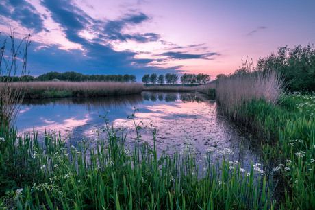 Krekengebied Bieslandse Bos