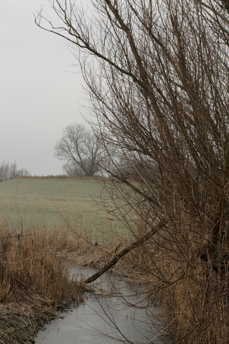 Uiterwaarden in de koude ochtend