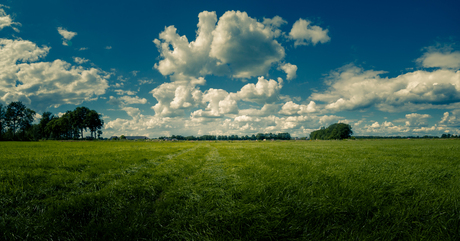 Gras en lucht