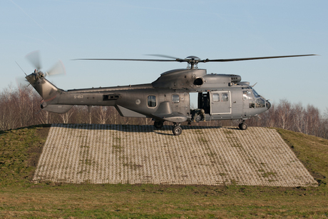 Cougar Heli op gilze rijen