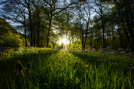 sunset in the French Ardennes