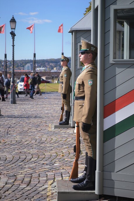 Budapest guards