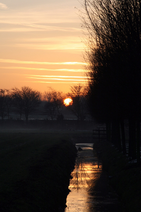 Rechts van de wei