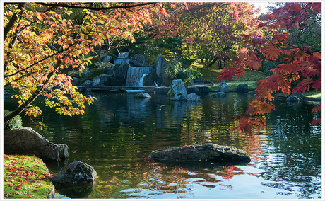 Herfst in de Japanse Tuin 1