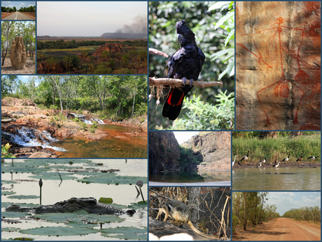 Kakadu en Arnhemland