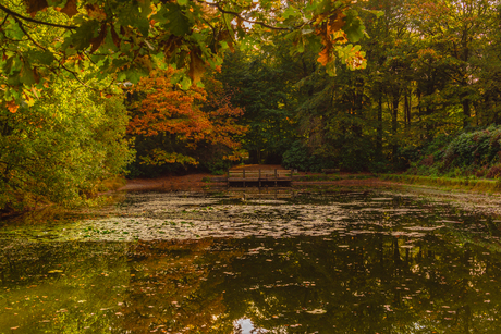 Oude Warande (Tilburg)