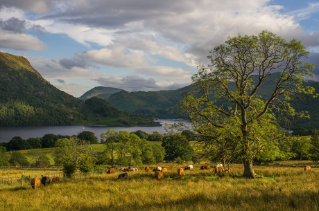 Ullswater in The Lake District