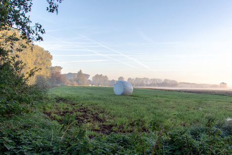 Ochtend in de herfst