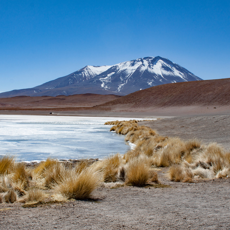 Laguna Hedionda