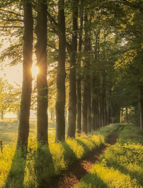 Prachtig licht. Vroeg de wekker, maar dat is dan ook de moeite waard.