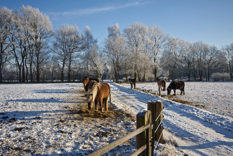 12 graden vorst en toch warm...