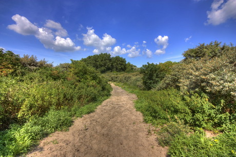 gewoon wat natuur