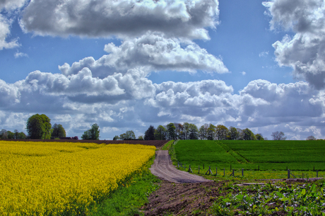 Bright spring landscape of Normandy