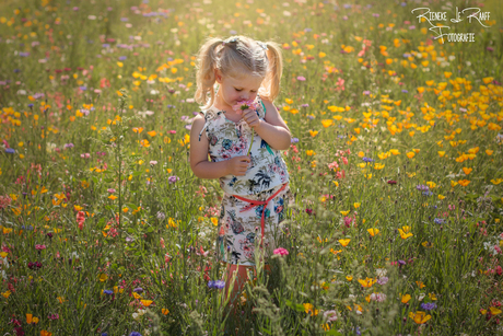 Nora en de bloemen