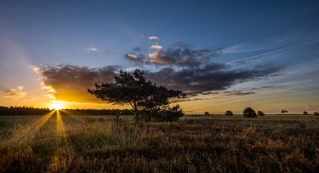 wide landscape