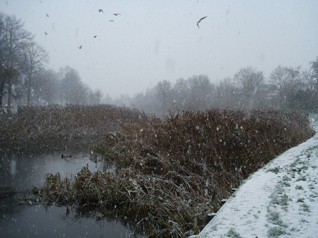 De winter in aantocht.