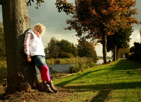 Herfst in het polderpark