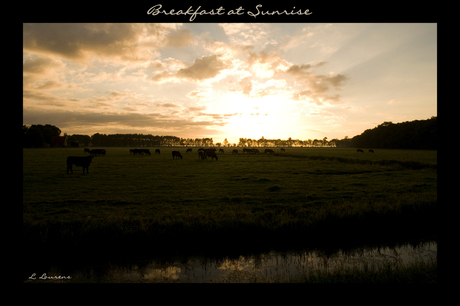 Breakfast at Sunrise