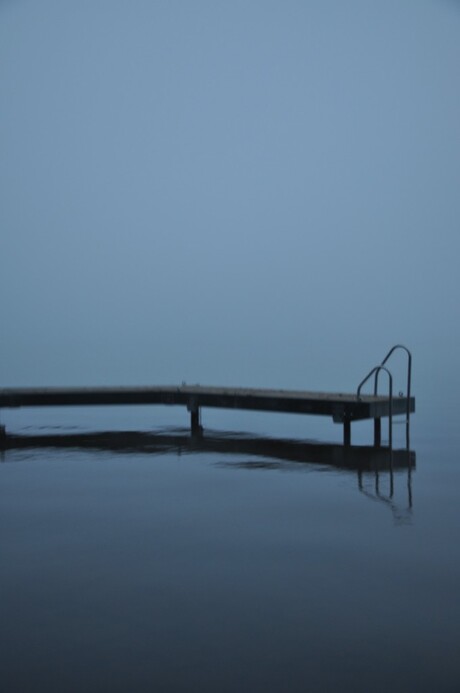 stijger in de mist