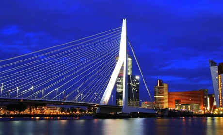 erasmusbrug Rotterdam