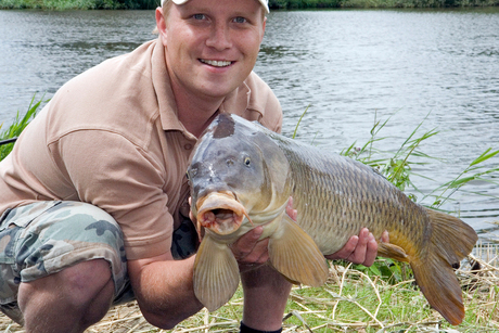 Cyprinus carpio