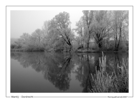 Wantij in de winter