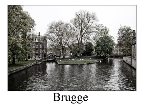 Brugge 02