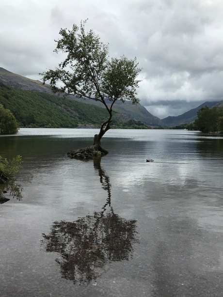 Even rust, Llanberis, Wales