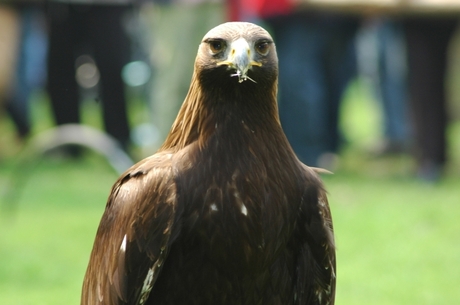 Who are you looking at!