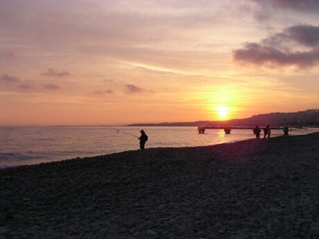 Visser in Nice (france)