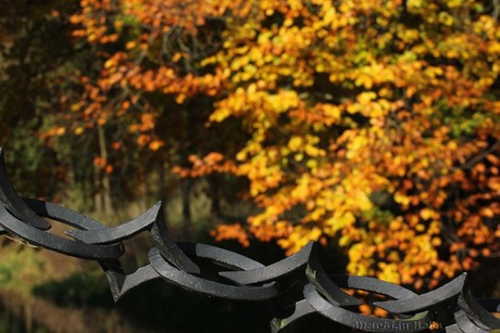 herfst kleuren