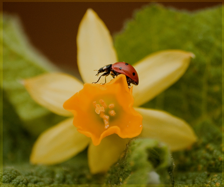 Op zoek naar iets lekkers