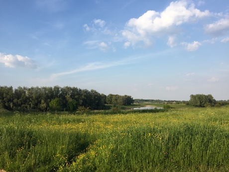 Uiterwaarden Beuningen