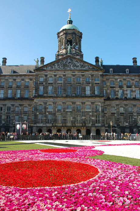 Bloemenbed op de Dam