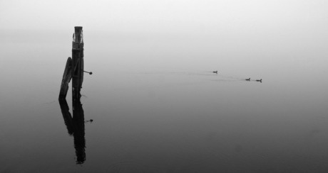 Mist over het spui.jpg