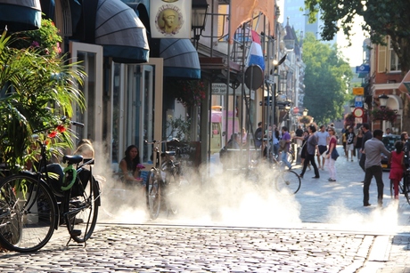 Nederlands' Utrecht