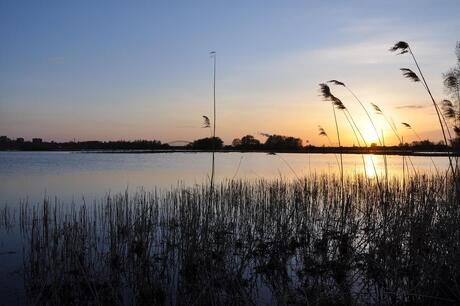 ooijpolder