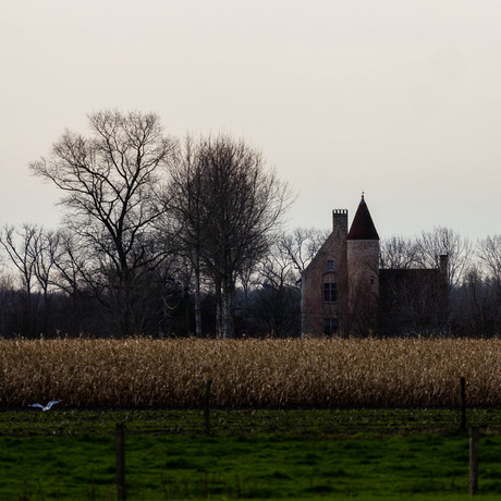 Rood kasteeltje