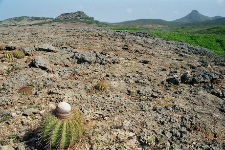 Maanlandschap op Curaçao