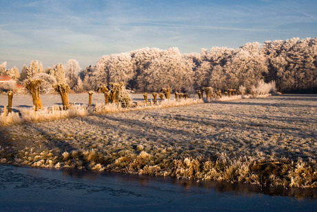 Icy Landscape 1