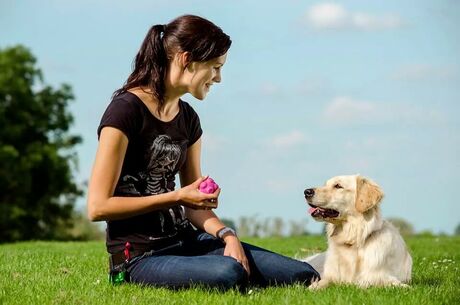 Baasje en hond