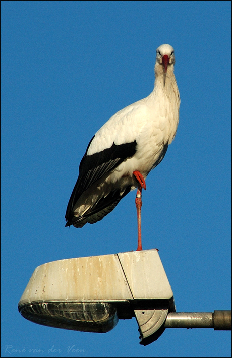 Wat moet je?