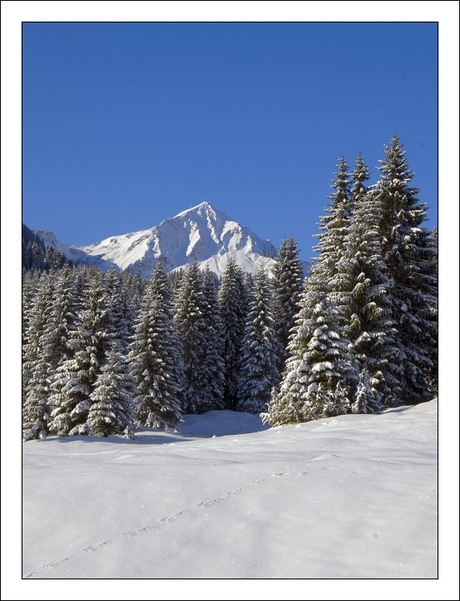 Kleinwalsertal 1