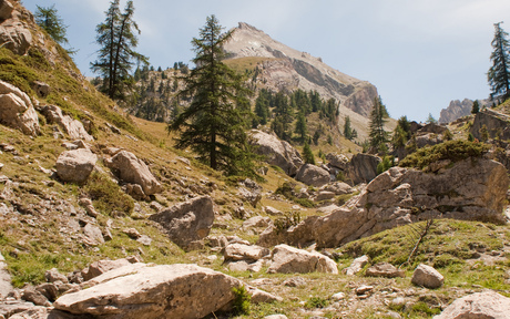 Alpen landschap