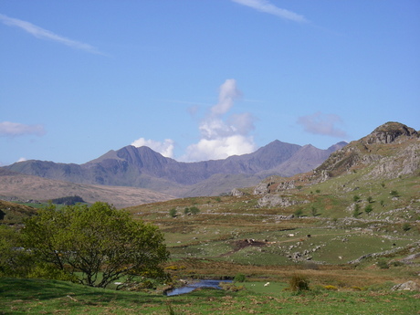 The snowdon