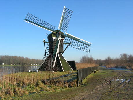 Molen