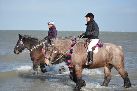 Strao Renesse