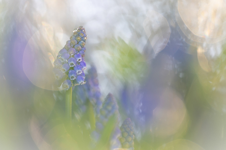 Lente is onderweg