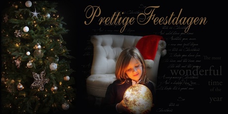 Prettige Feestdagen !